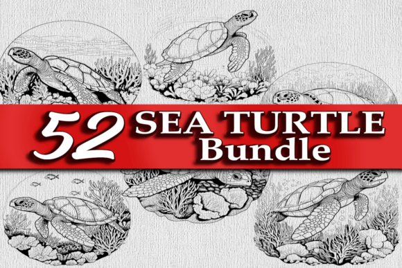 Download Sea Turtle Vector Bundle SVG PNG EPS DXF - Vector bundle Collection